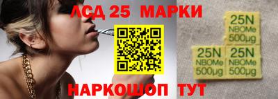 гидра Будённовск