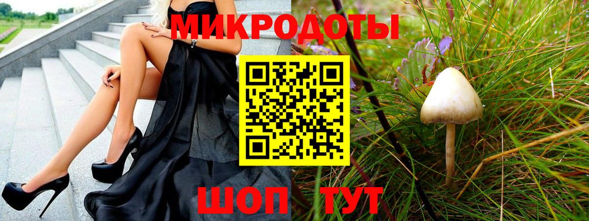 Псилоцибиновые грибы мухоморы Кузнецк
