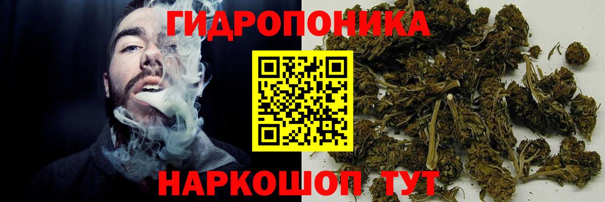 Бошки марихуана семена Кузнецк
